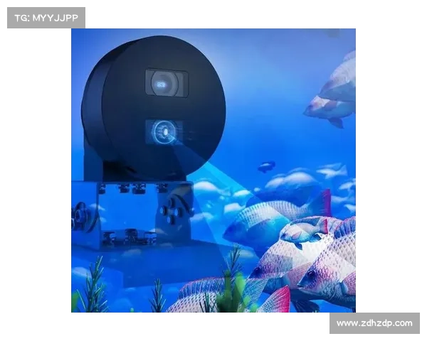 深入探索水下王国的调查技巧与方法解析