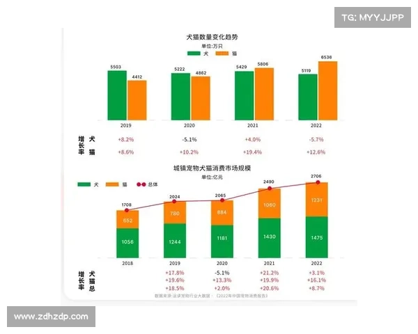 如何从经纪人角度全面评估卢库米的未来潜力与发展方向