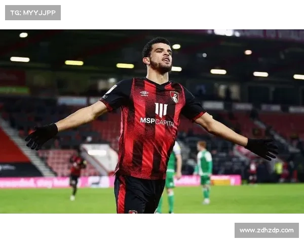 如何有效评估伯恩茅斯新援马尔斯卡克的表现与潜力 如何有效评估伯恩茅斯新援马尔斯卡克的表现与潜力