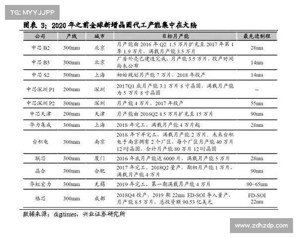 把握欧洲杯机遇深度剖析投资策略与市场动态