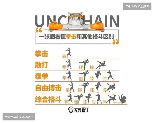 拳击比赛五大赛制深度解析与精彩赛事回顾